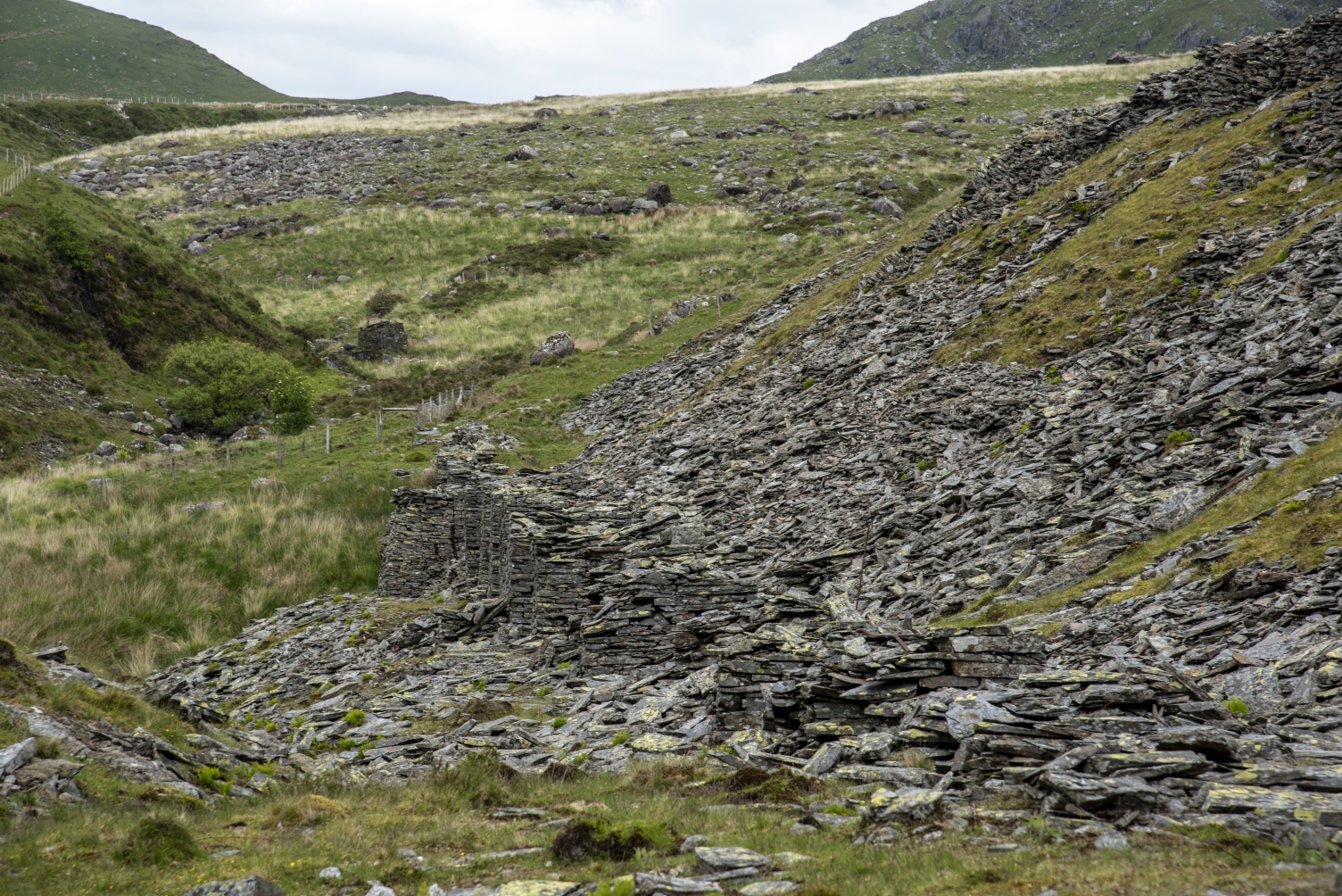 Launder pillars towards weir, submitted by ilt on 12-12-2025.
© Iain Taylor Launder pillars towards weir